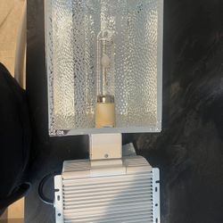 4 Mantis 315 LEC Grow Lights