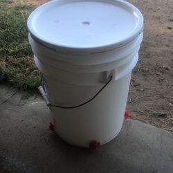 Chicken Bucket Waterer Easy Clean And Fill