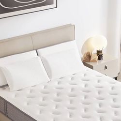 Bed And Frame. Both New In The Box. 