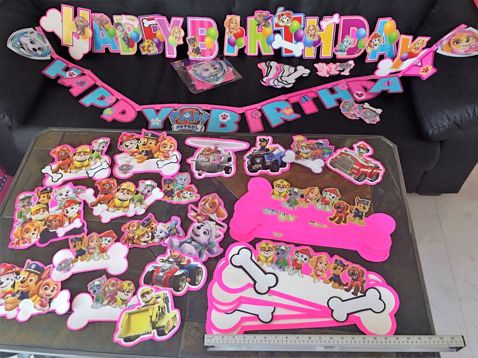 Skye Paw Patrol adult costume centerpieces posters party supplies cutouts decoration etc