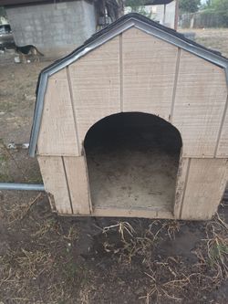 Dog House
