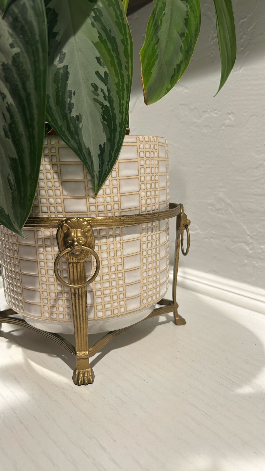 Lion Plant Holder/Pedestal Plant Stand w Clawed Feet