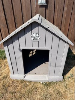 Dog House
