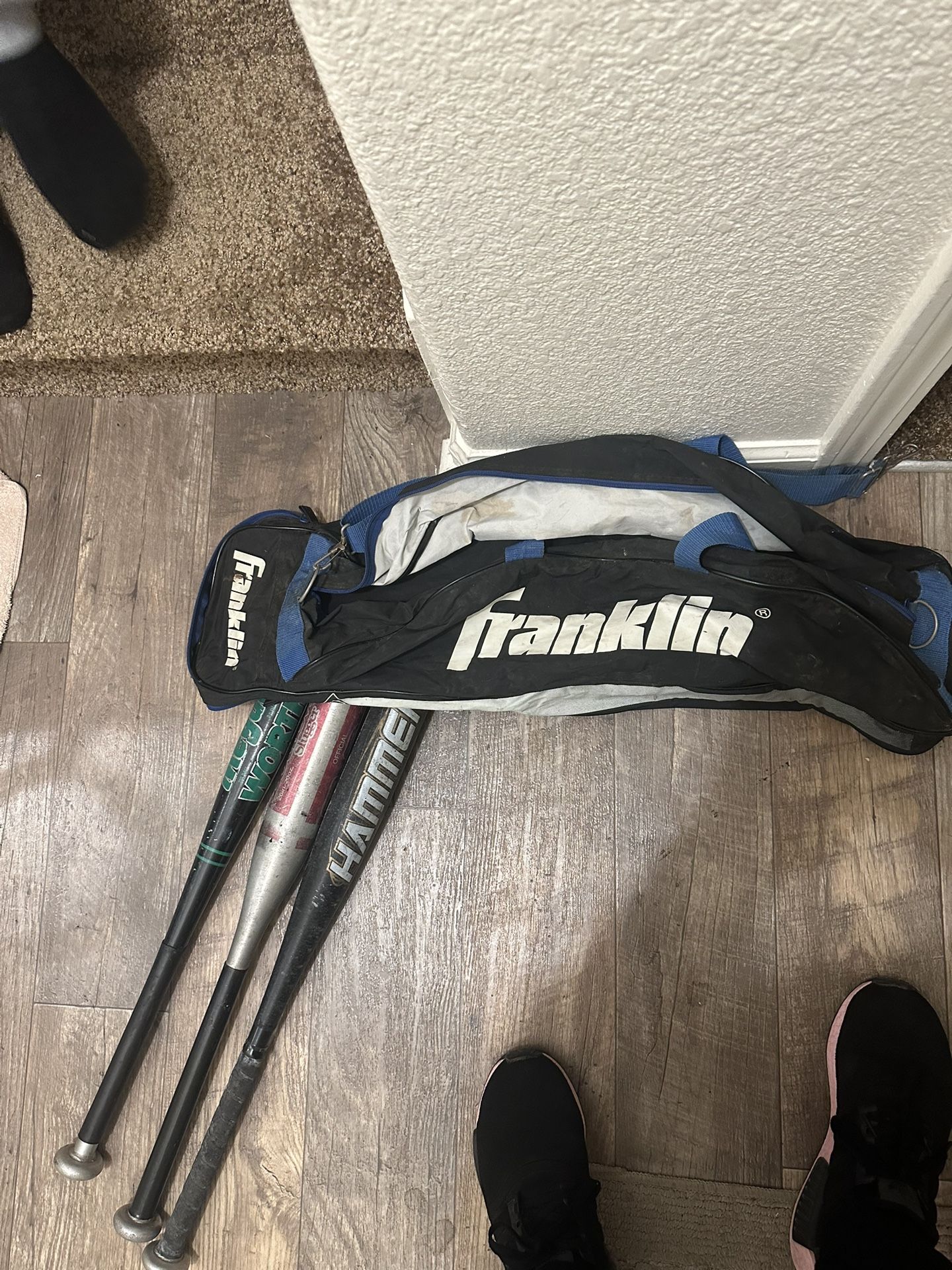 Bag And Baseball Bats