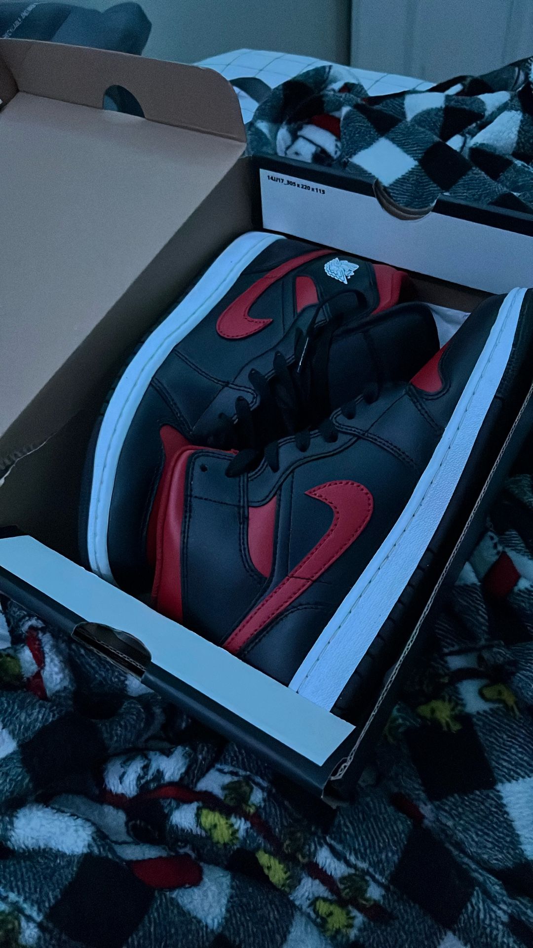 Air Jordan 1 Mid