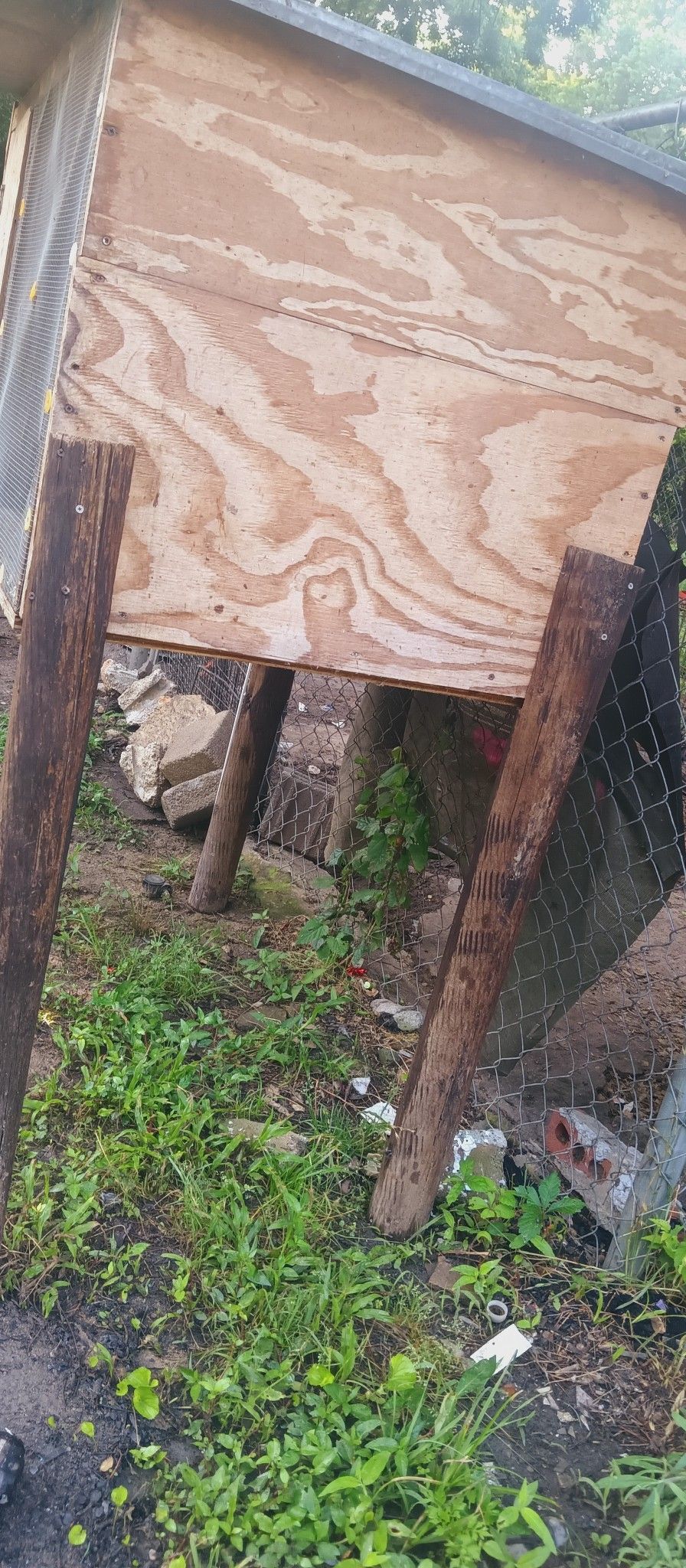 Chicken Coop