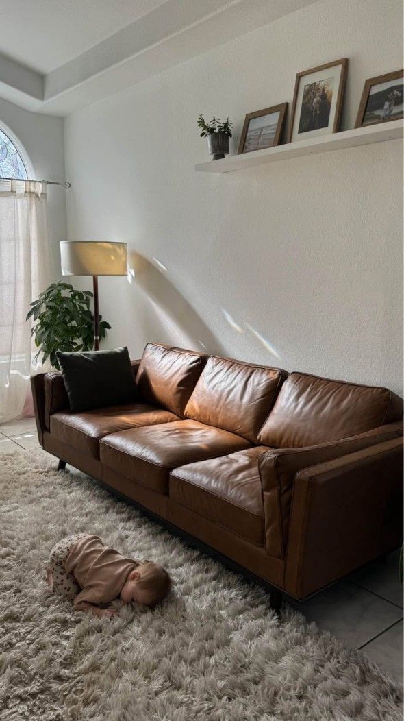 All Modern Leather Sofa