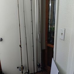 ESTATE SALE 291 JAMACHA RD #31