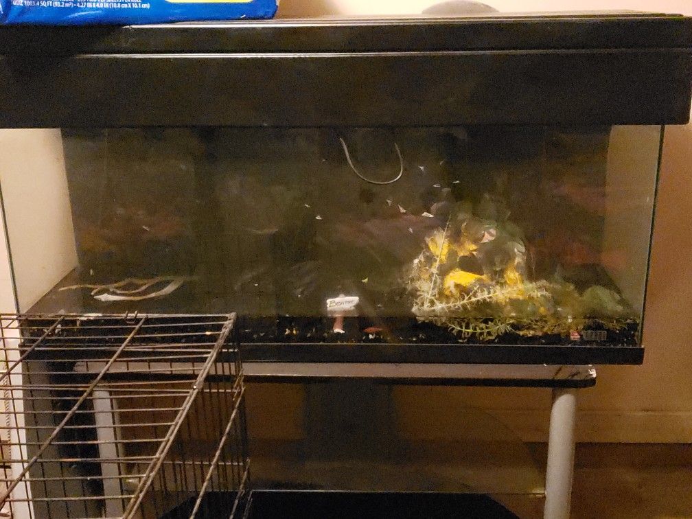 Aquarium