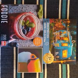 (3) 300 Piece Puzzles, Various Brands