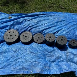 Weights And Bench (check Description)