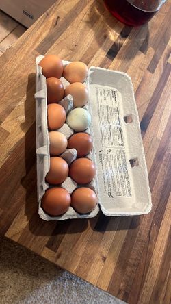 Fresh Eggs