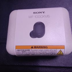 Sony WX 1000XM6