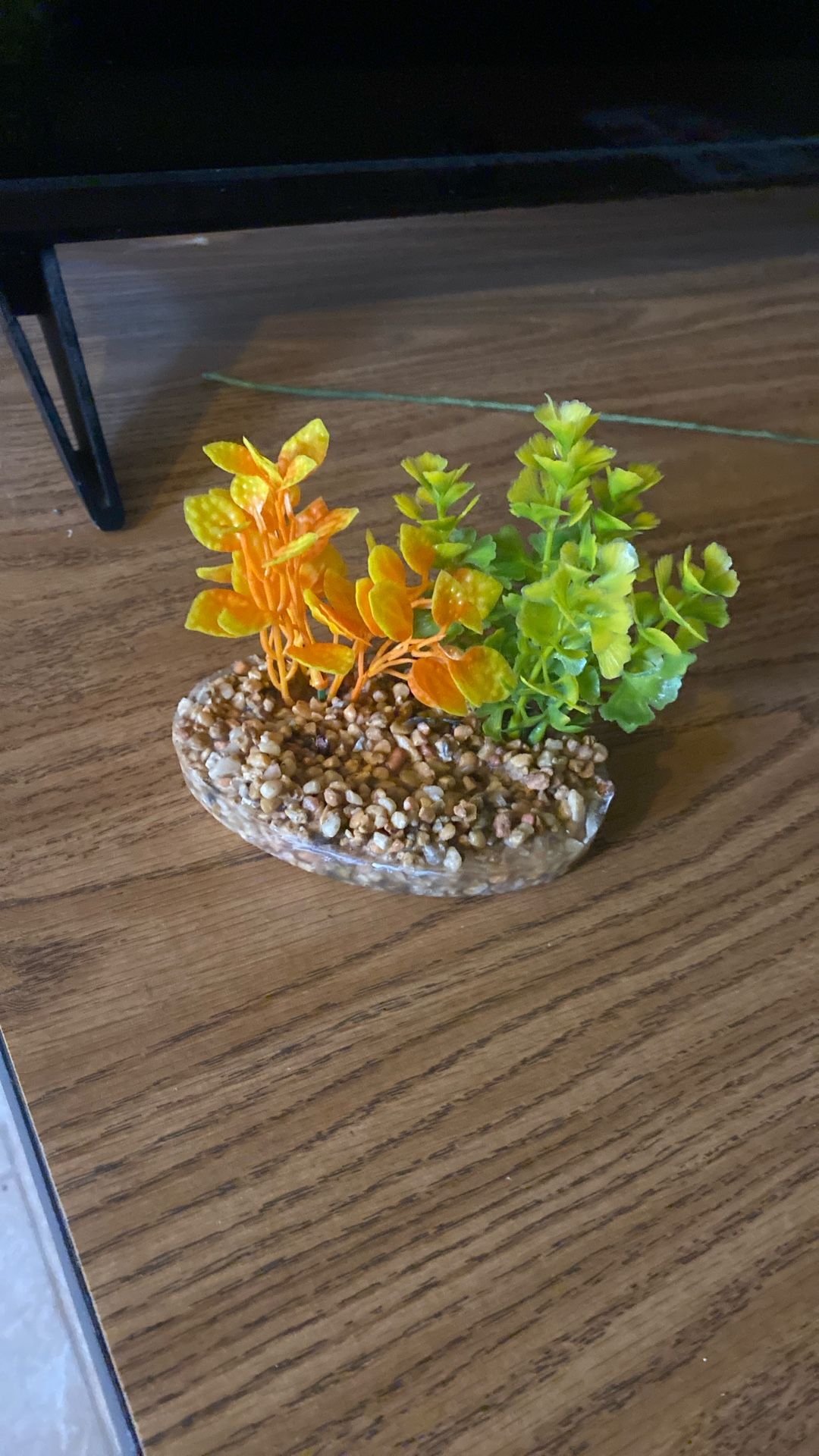 Fish Tank Small Decoration Free