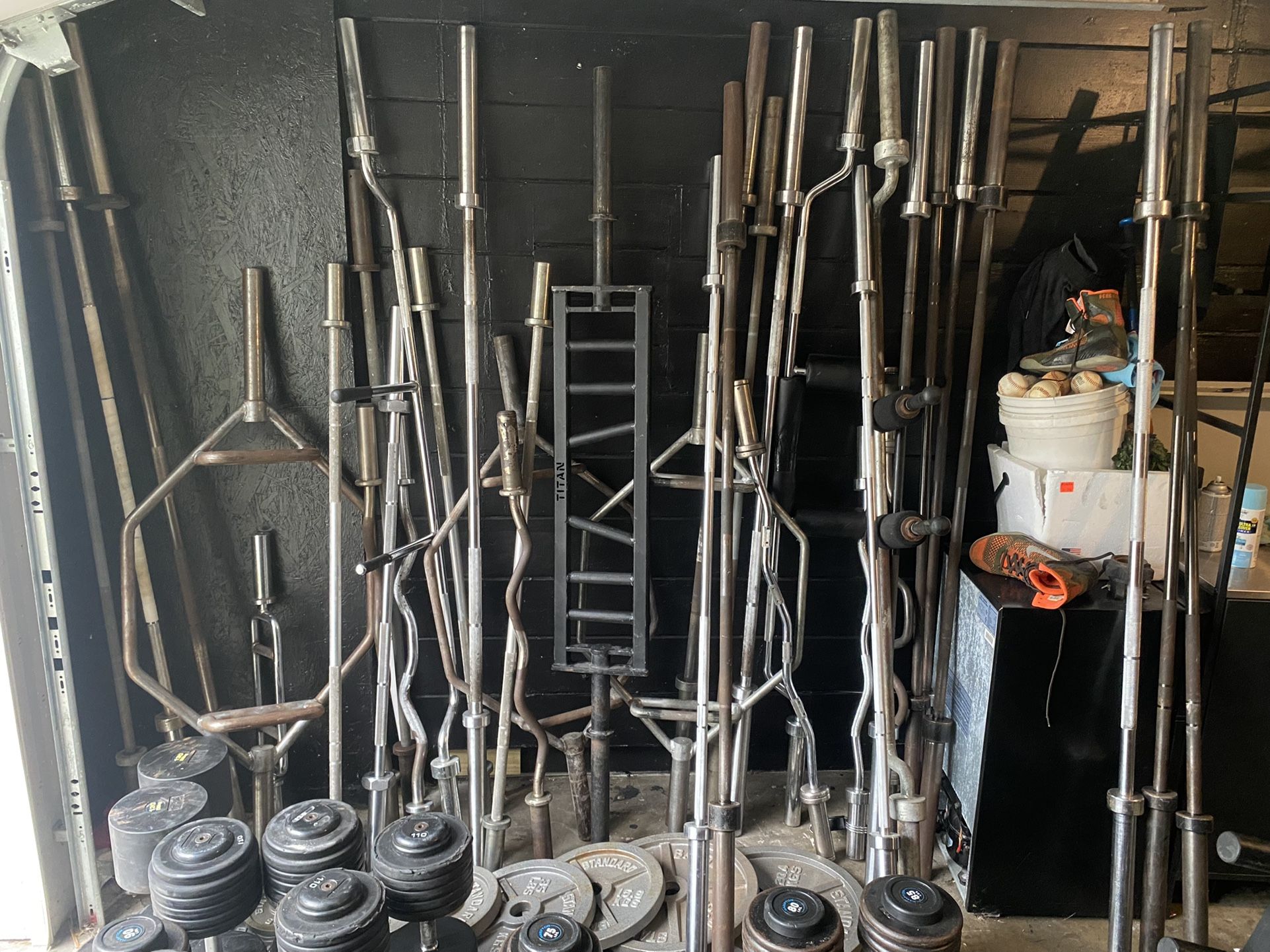 Barbells/Curl Bars/Specialty Bars
