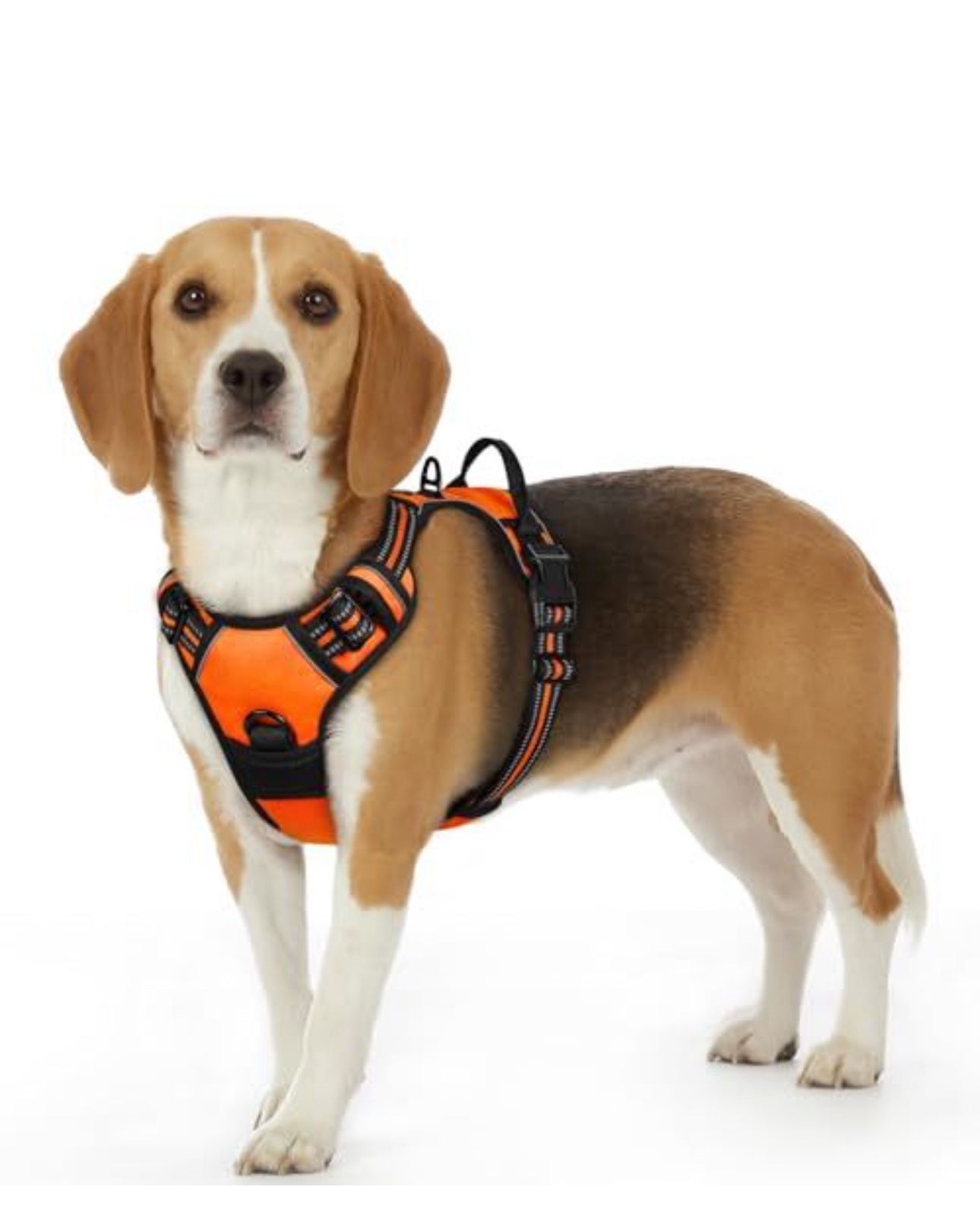 Eagloo Dog Harness Small Sized Dog, 
