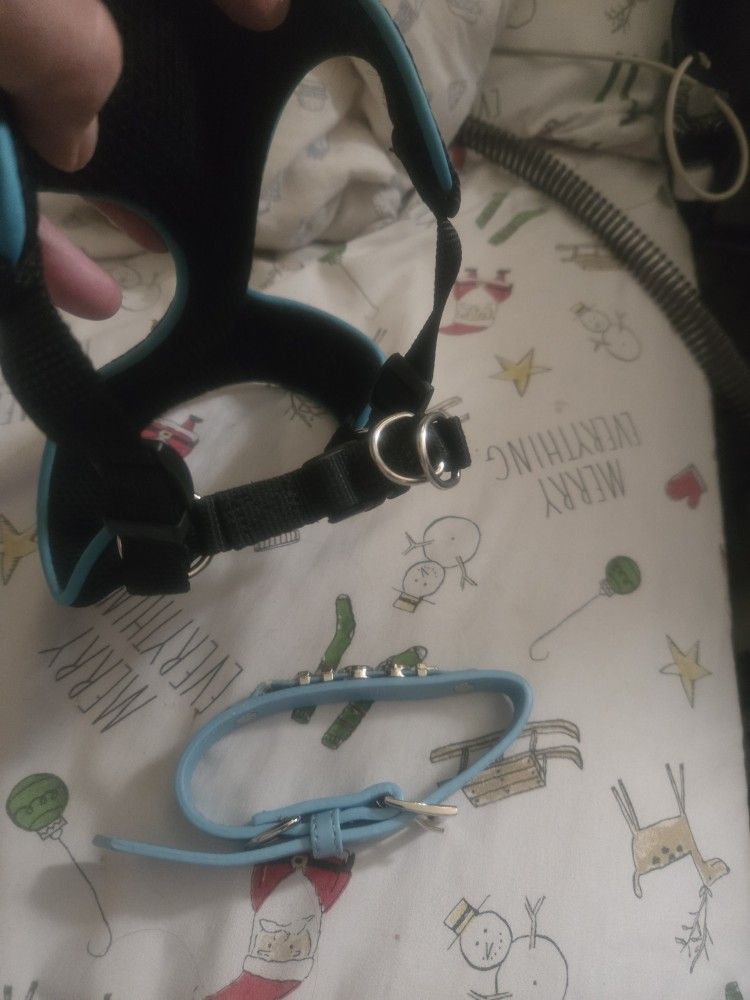 Small Dog Harness & Rhinestone Collar Bundle – Adjustable, Stylish, Gently Us