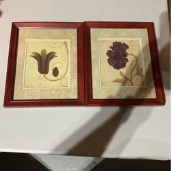Set Of Flower Pictures