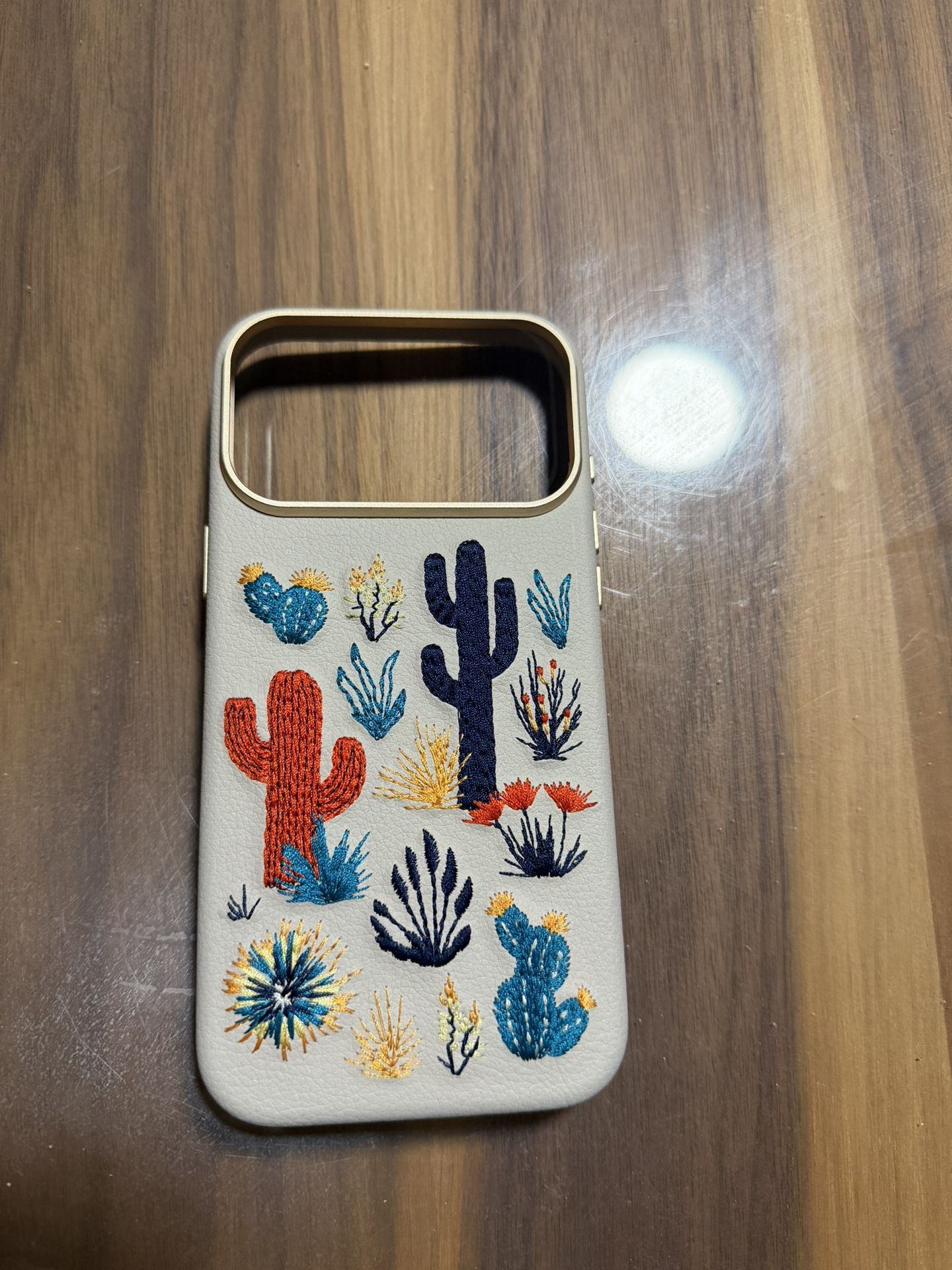 iPhone 17 Pro Max Case