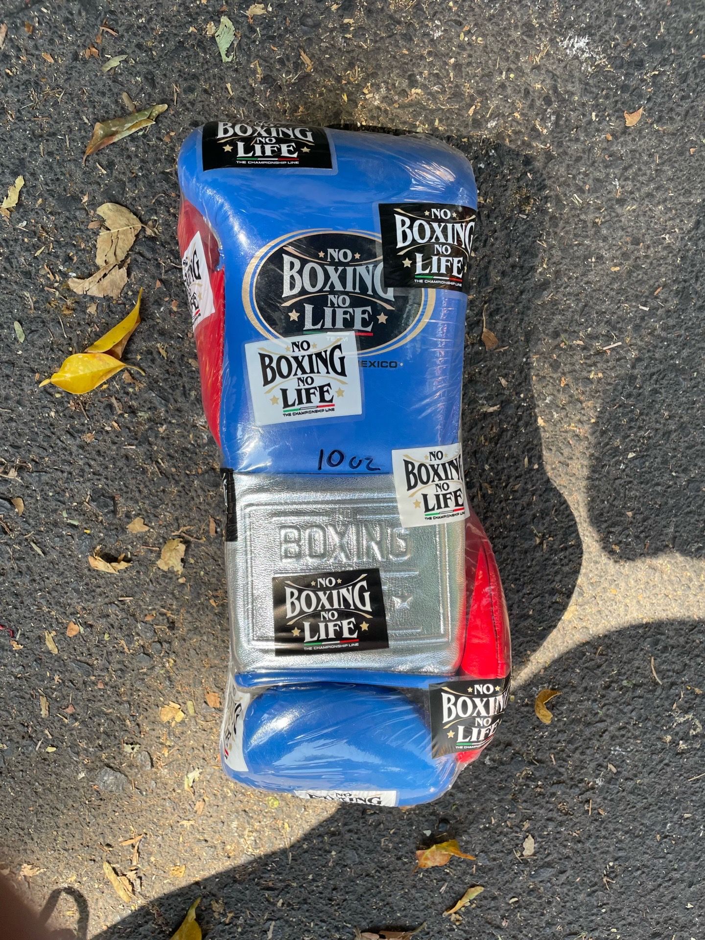 No Boxing No Life Gloves 10oz