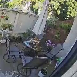 Patio Furniture Set - Outdoor table with umbrella and four chairs.