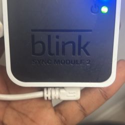 Blink Sync Module 2