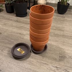 Plant pots