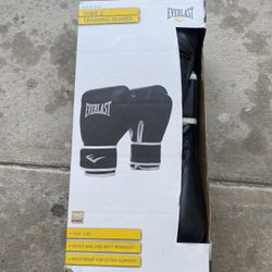 Everlast Boxing Gloves Brand New In Box