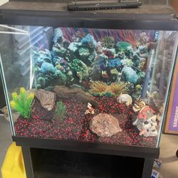 30 Gallon Fish Tank