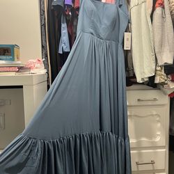 Babaroni formal Dress New with tags