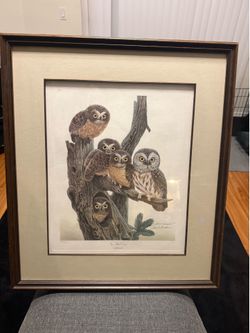 John A. Ruthven Hand-Signed Limited Edition “Saw Whet Owls” – #365/1500 – Framed