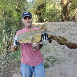 2A trade for boat