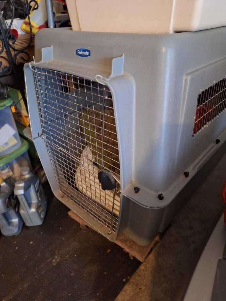 Xl Dog Crate For Extremely Large Dogs
