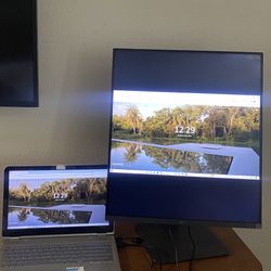 LG DualUp Computer Monitor