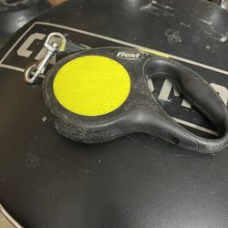 Retractable Leash 