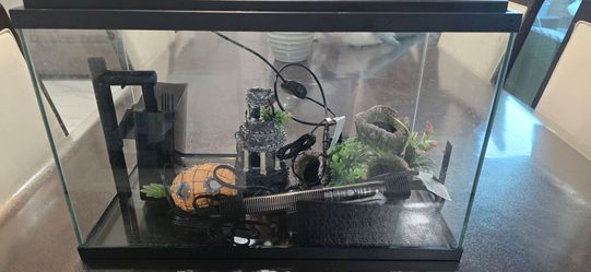 Aquarium 10 Gallon