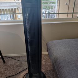 Fan