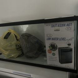 40 Gallon Tank With Filter