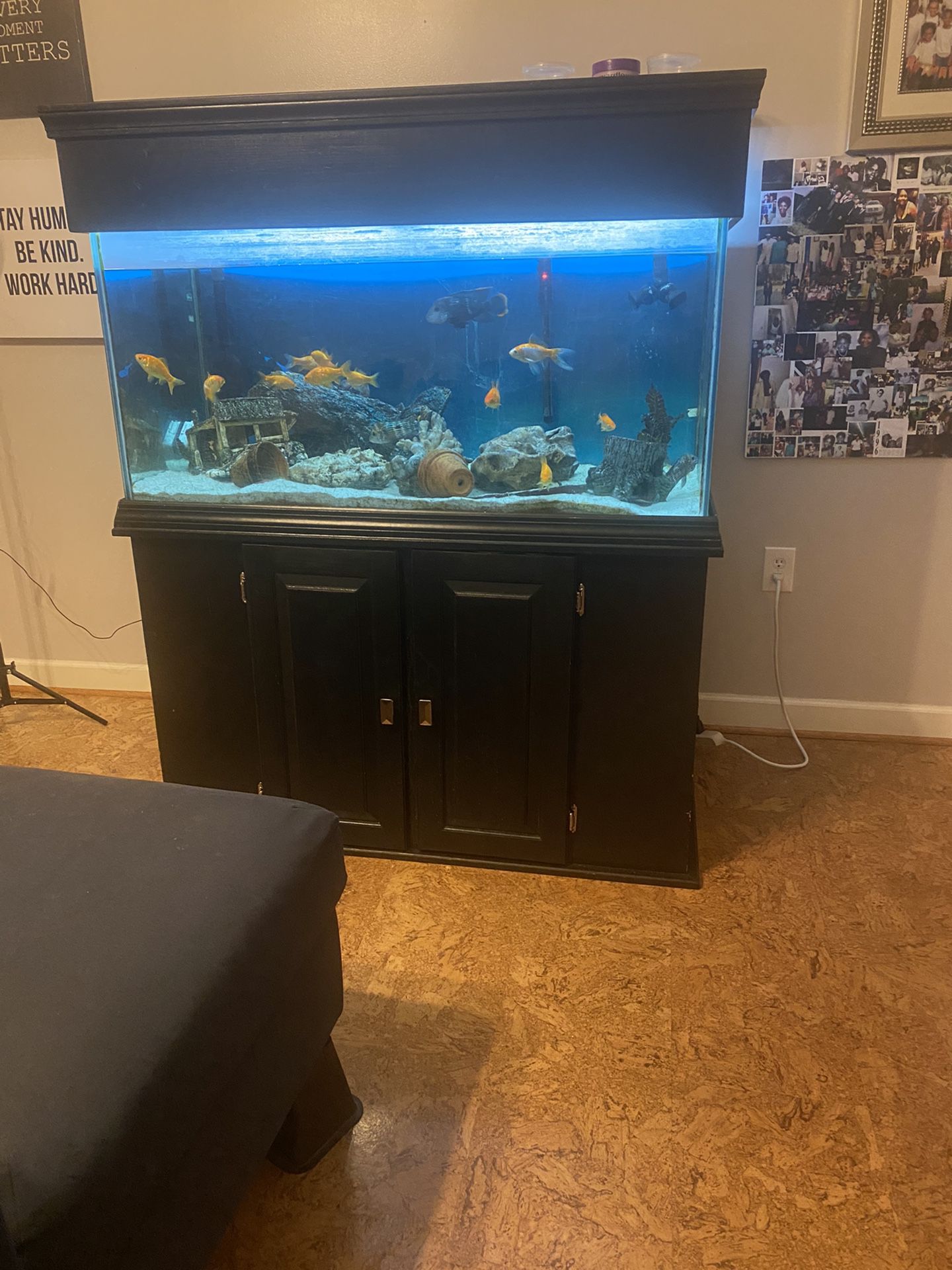 Fish Tank  ( 150 Gal ) 