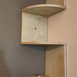 Custom Paint Book Shelf 