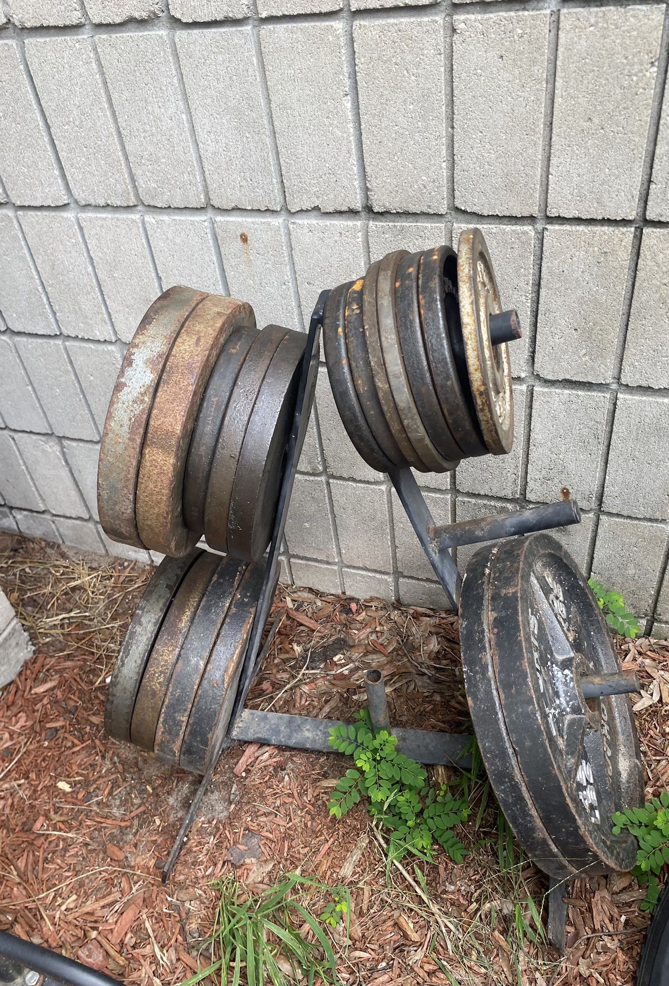 Olympic Weight Plate With Weight Tree