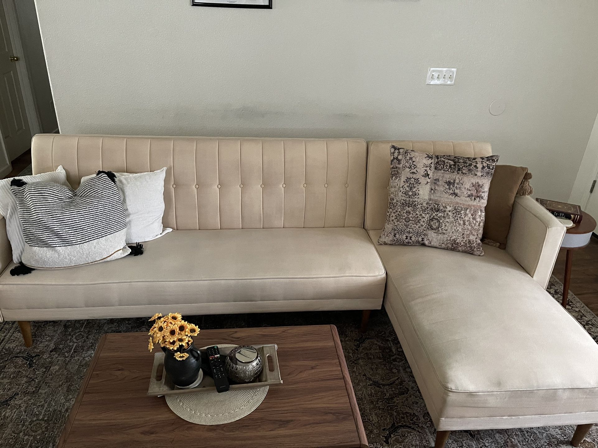 Modern Sectional Couch