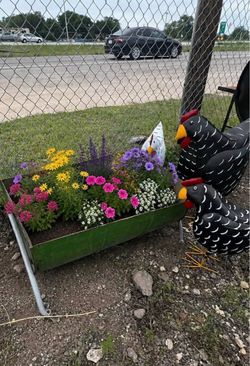 !Planters / Troughs!