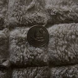 It Is A Rare Quarter Going For 192 But I’m Only Selling It For 50