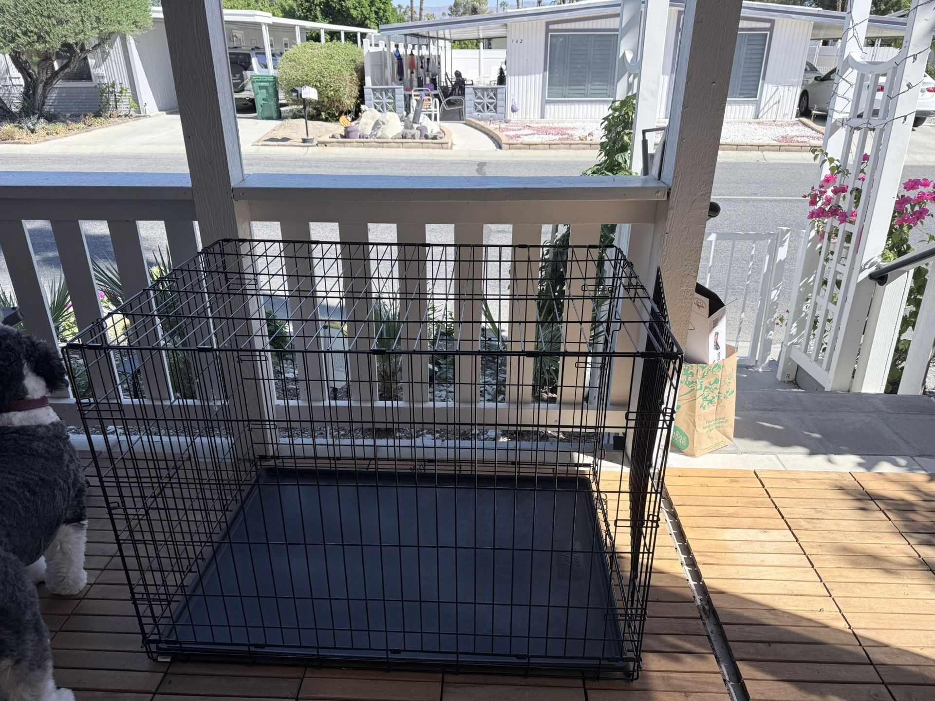 XL Dog crate PETCO