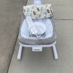 Ingenuity Baby Swing 