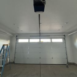 Garage Door Steelback 
