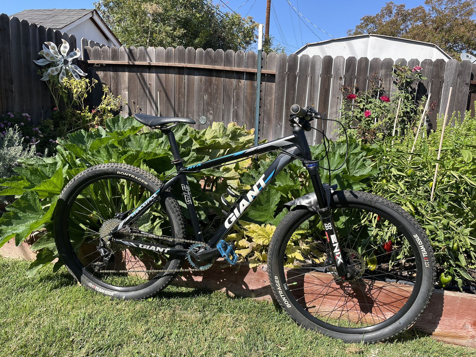 Trek and Giant Mountain Bikes