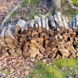 Seasoned Oak Firewood