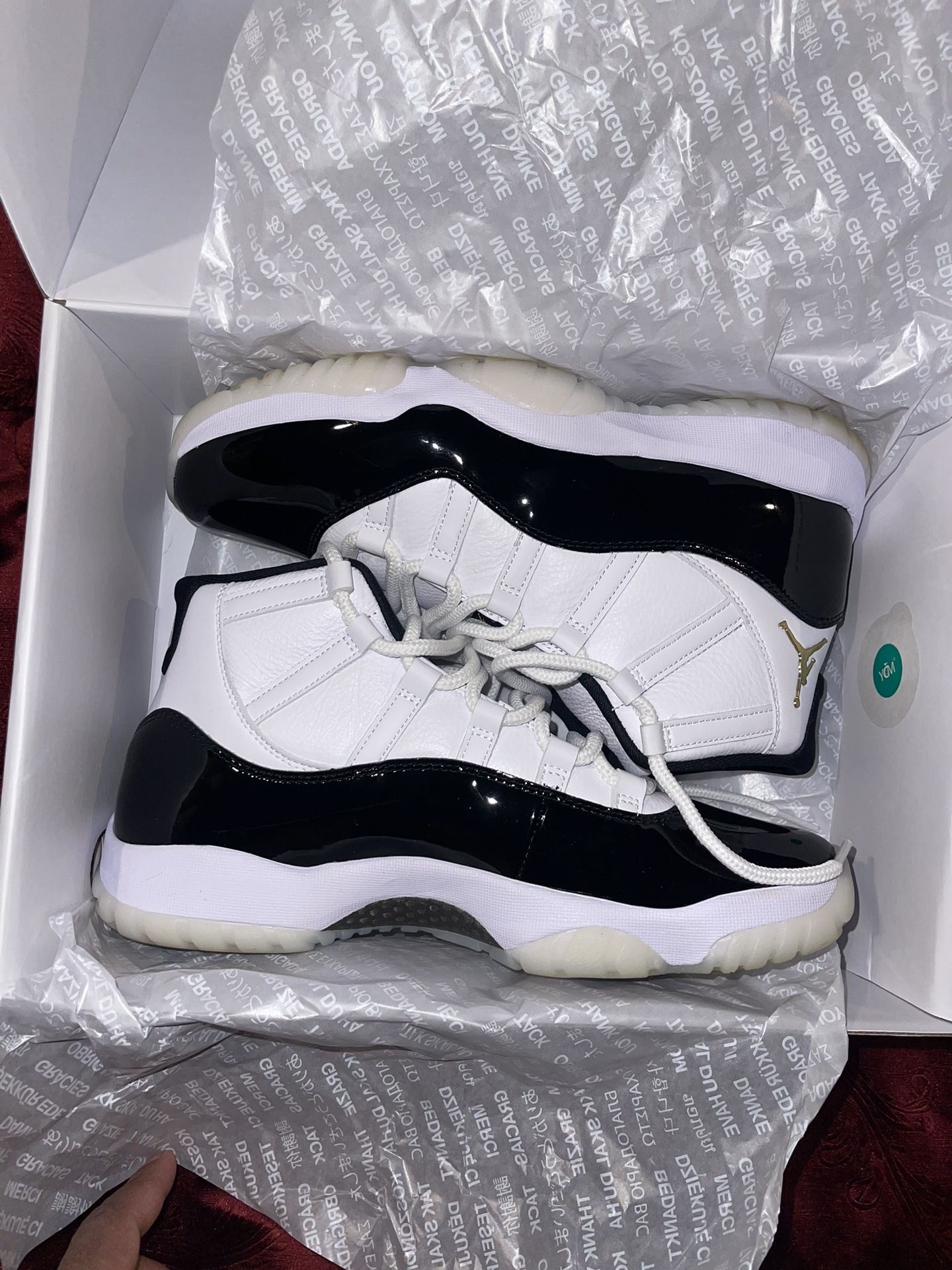 2023 DMP 11s